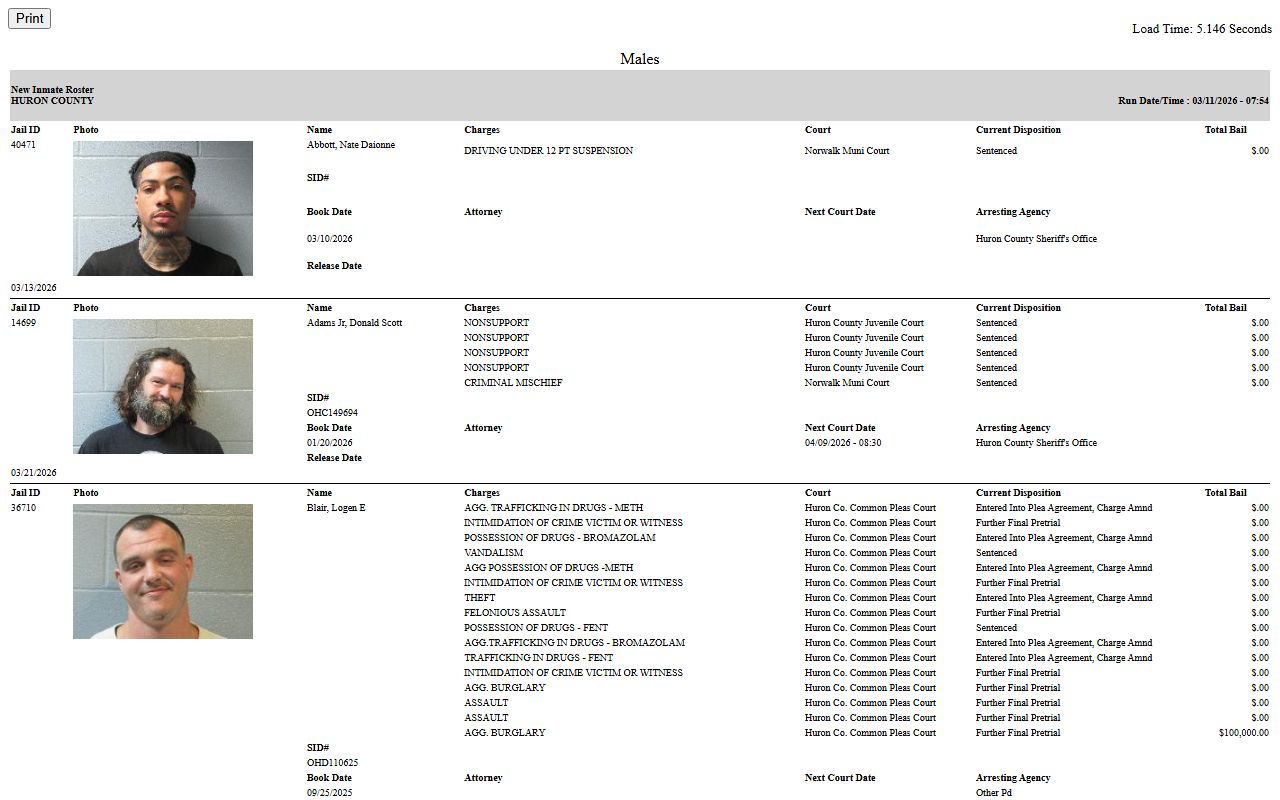 Huron County jail roster showing recent bookings with mugshots